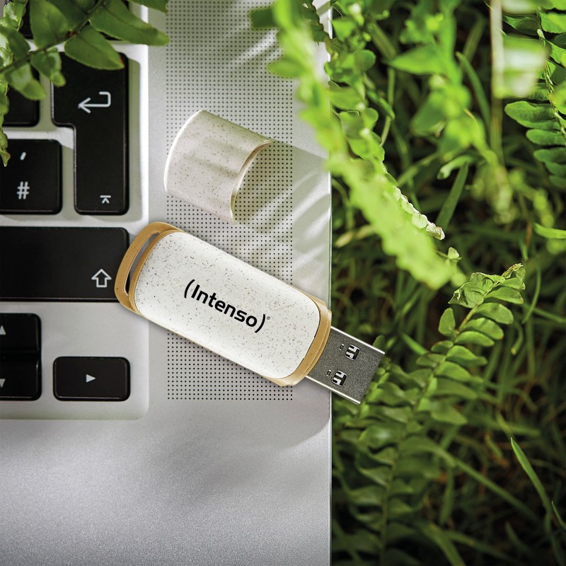 Pendrive Intenso Green Line 32 GB