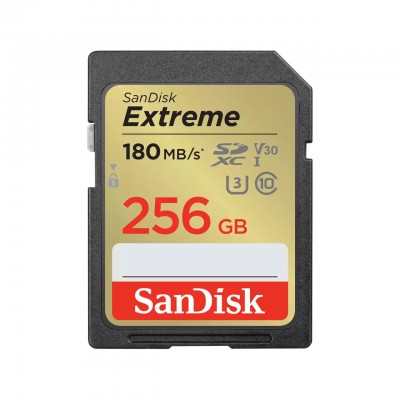 SCHEDA SDXC SANDISK Extreme 256 GB 