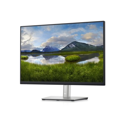 Monitor Dell P2423 24'' WUXGA IPS 60 Hz HDMI LED Argento Nero