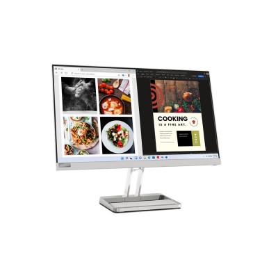 Monitor Lenovo L24i-40 24'' FullHD IPS AMD Free-Sync Grigio