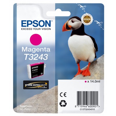 Cartuccia Epson C13T32434010 T3243 Magenta