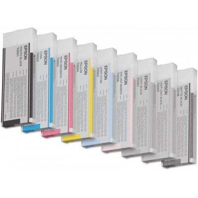 Cartuccia Epson d'inchiostro Nero C13T606100 T6061 220ml