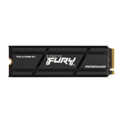 SSD M.2 KINGSTON FURY RENEGADE  Con Dissipatore Passivo  4TB SSD