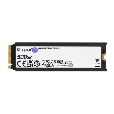 SSD M.2 KINGSTON FURY RENEGADE  Con Dissipatore Passivo  500GB SSD