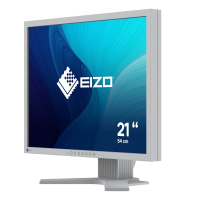 Monitor EIZO FlexScan S2134 21'' UXGA IPS DisplayPort DVI-D VGA LED Grigio