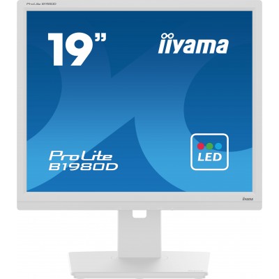 Monitor iiyama B1980D-W5 19'' SXGA TN VGA DVI LED Bianco