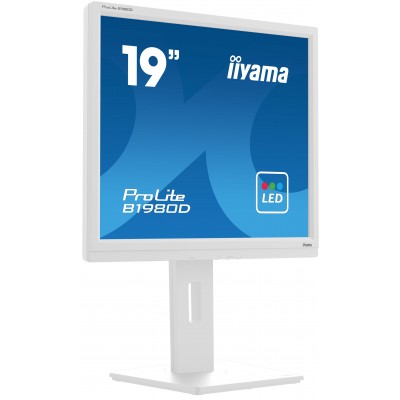 Monitor iiyama B1980D-W5 19'' SXGA TN VGA DVI LED Bianco