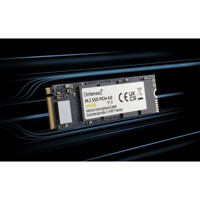 SSD INTENSO MI500 1 TB PCIe 4.0 x4 NVMe 1.4 M.2 2280