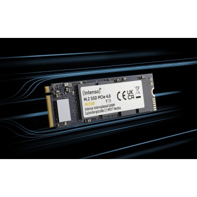 SSD INTENSO MI500 2 TB PCIe 4.0 x4 NVMe 1.4 M.2 2280