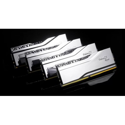 Ram G.Skill Trident Z5 Royal DDR5 6400Mhz (2x48) 96GB RGB argento XMP CL32