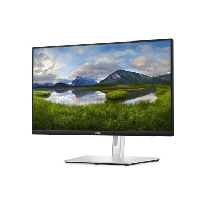 P2424HT 24'' Grigio Metallico FullHD IPS Touchscreen