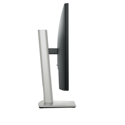 P2425 24'' Grigio Metallico WUXGA IPS USB-C 100Hz