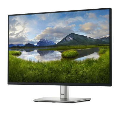 P2425E 24'' Grigio Metallico WUXGA IPS USB-C 100Hz