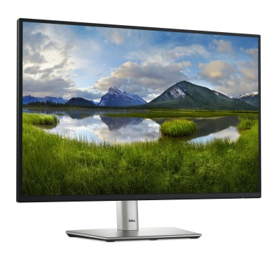 P2425E 24'' Grigio Metallico WUXGA IPS USB-C 100Hz