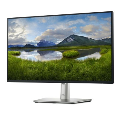 P2425H 24'' Grigio Metallico FullHD IPS USB-C 100Hz