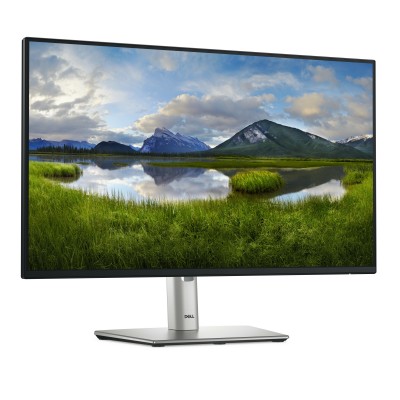 P2425H 24'' Grigio Metallico FullHD IPS USB-C 100Hz