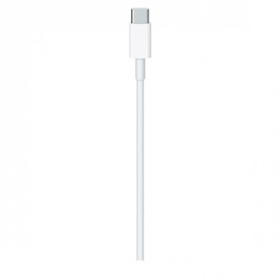 Cavo USB-C Apple 2 m