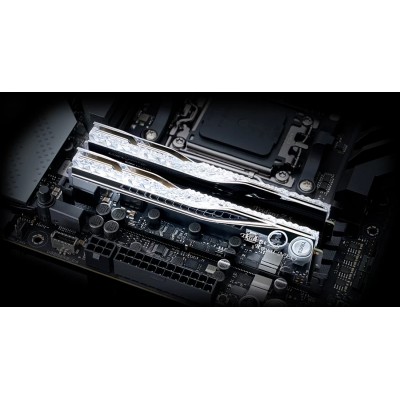 Ram G.Skill Trident Z5 DDR5 6000Mhz 48GB (2X24) CL26 EXPO Argento