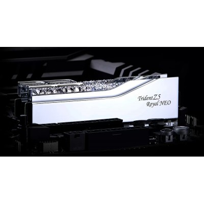 Ram G.Skill Trident Z5 DDR5 6000Mhz 48GB (2X24) CL26 EXPO Argento