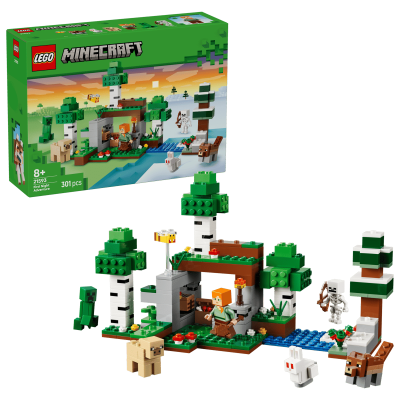 LEGO 21593 Minecraft Avventura della prima notte