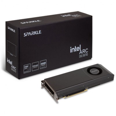 Scheda Video Sparkle Arc Pro B70 Blower 32GB GDDR6 Nero