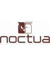 NOCTUA